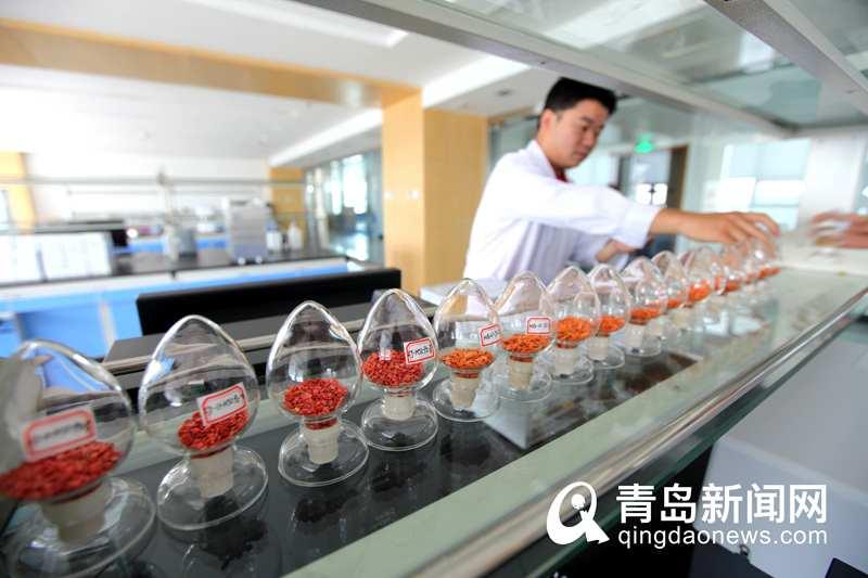 厉害!世界单体面积最大蔬菜花卉工厂西海岸开建